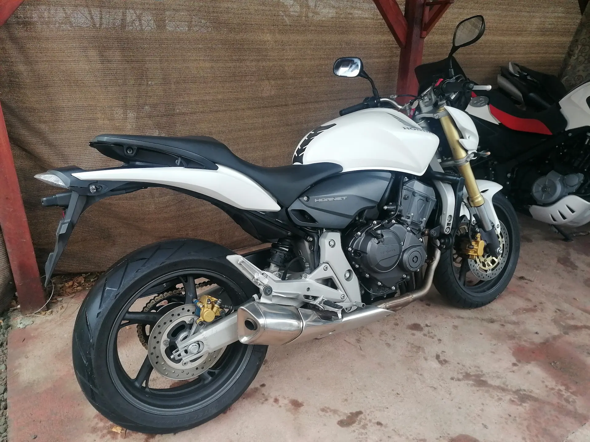 Honda Hornet CB600 F - Image 3